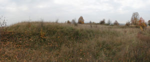 autumn fields