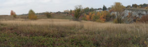 autumn grass fields