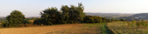 field panorama
