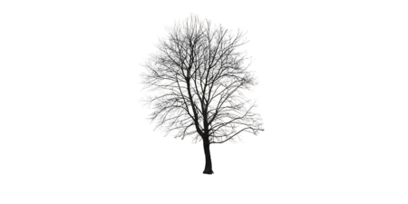 Free Cut Out people, trees and leaves | free cut out people, free cut