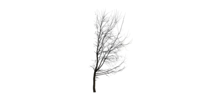 Free Cut Out People Trees And Leaves Free Cut Out People Free Cut Out Trees Free Cut Out Shrubs Free Cut Out Leaves 2d People 2d Trees Png People Png Trees